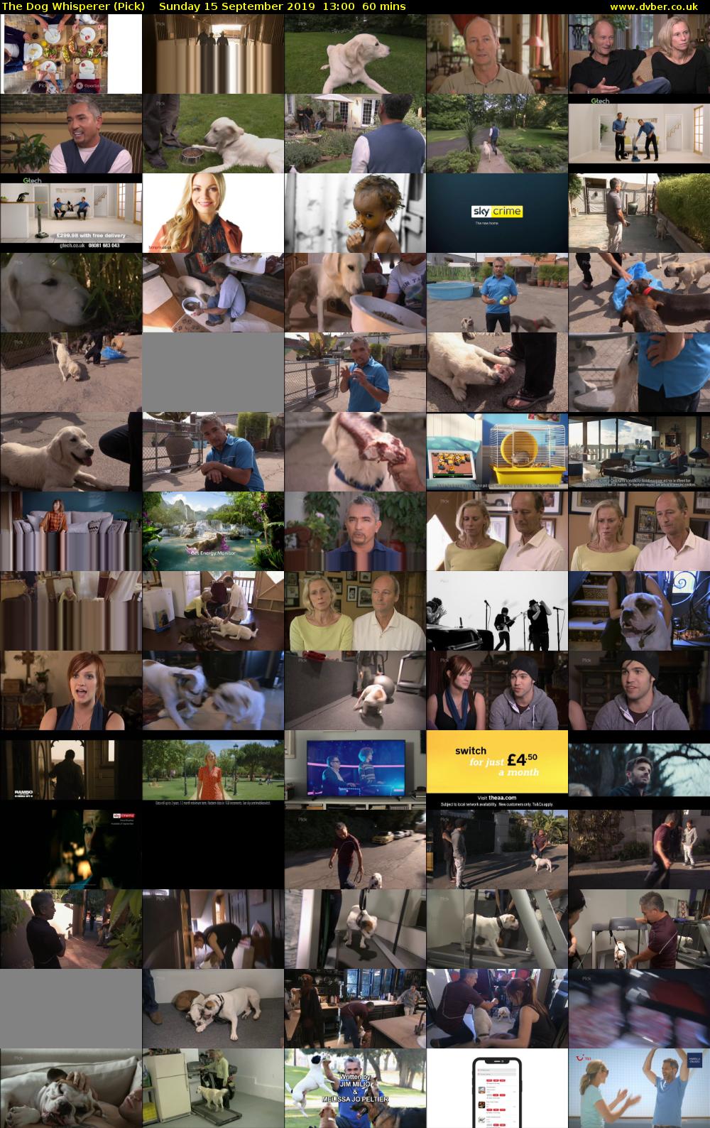 The Dog Whisperer (Pick) Sunday 15 September 2019 13:00 - 14:00