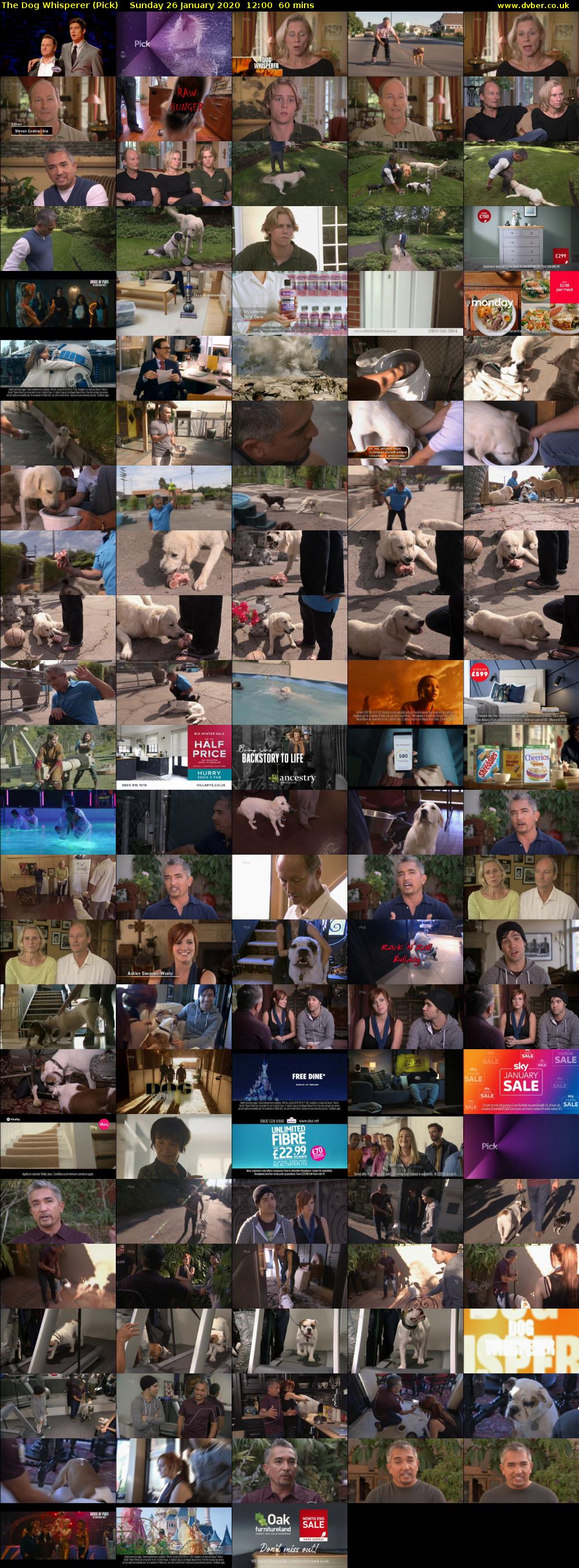 The Dog Whisperer (Pick) Sunday 26 January 2020 12:00 - 13:00