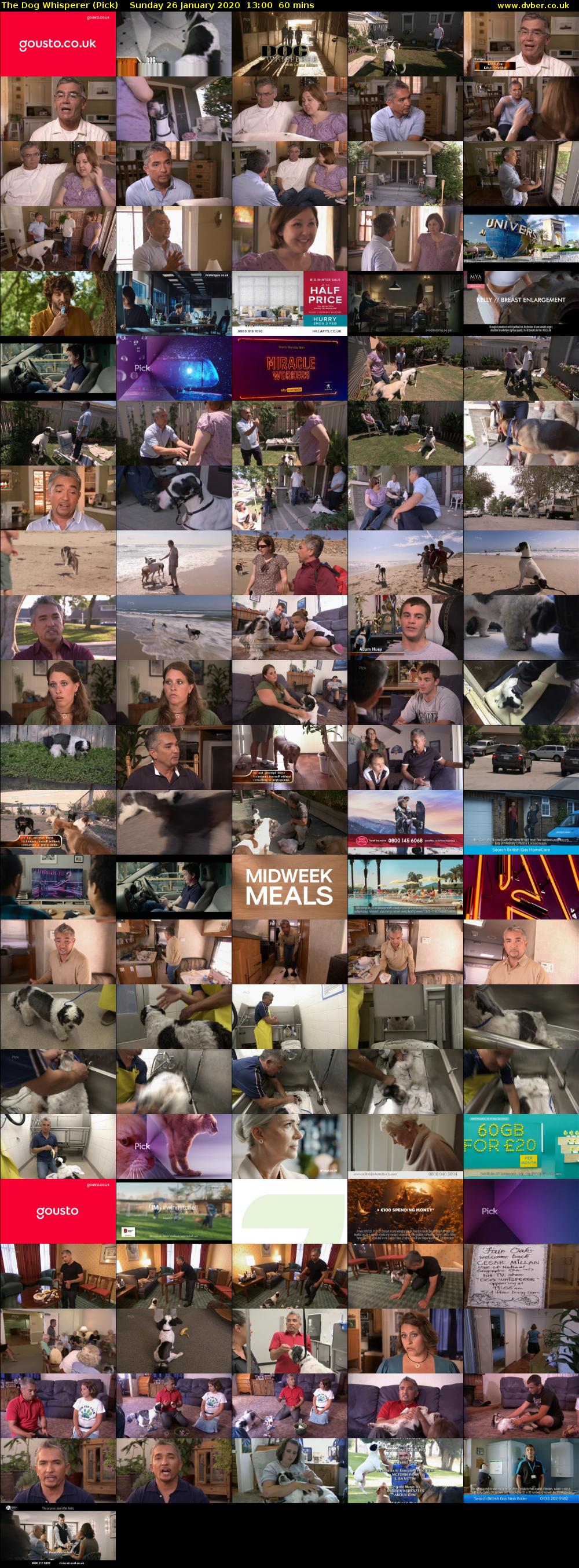 The Dog Whisperer (Pick) Sunday 26 January 2020 13:00 - 14:00