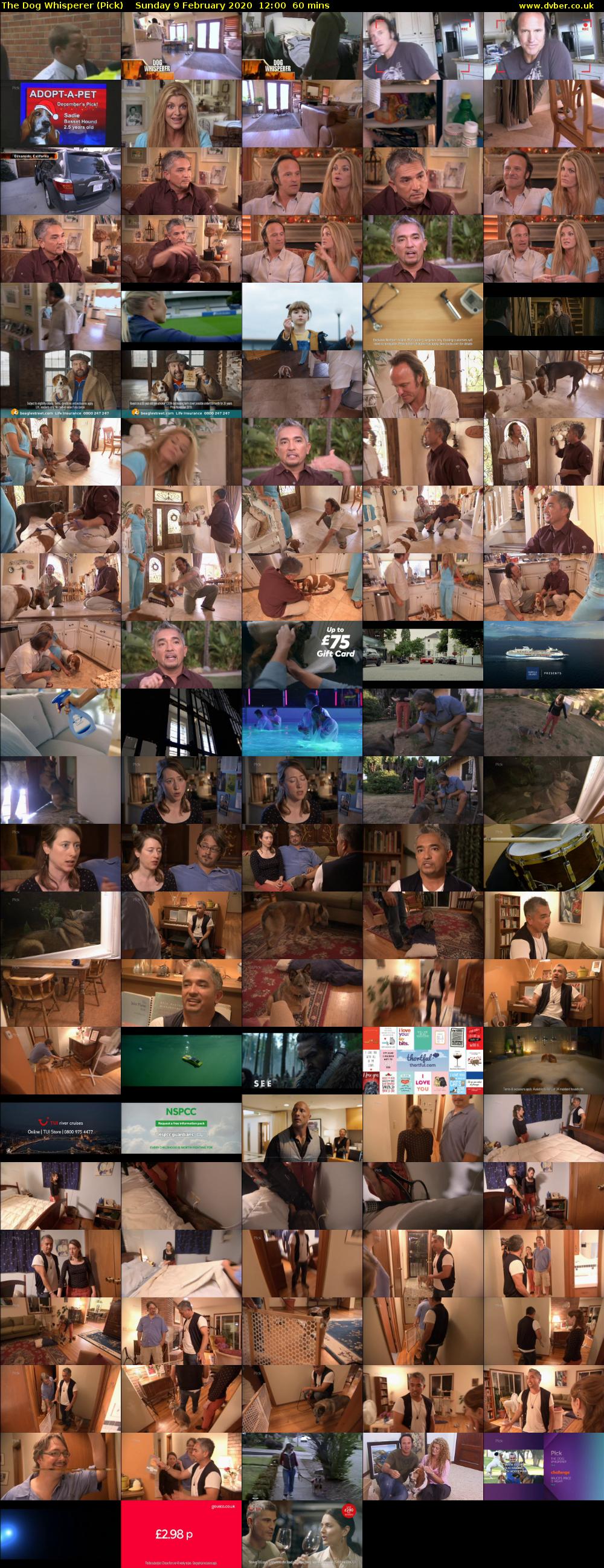 The Dog Whisperer (Pick) Sunday 9 February 2020 12:00 - 13:00