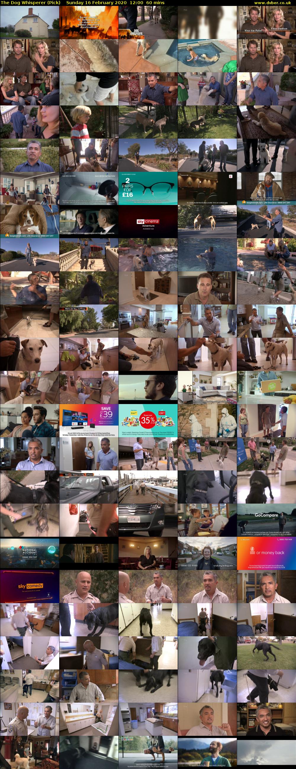 The Dog Whisperer (Pick) Sunday 16 February 2020 12:00 - 13:00