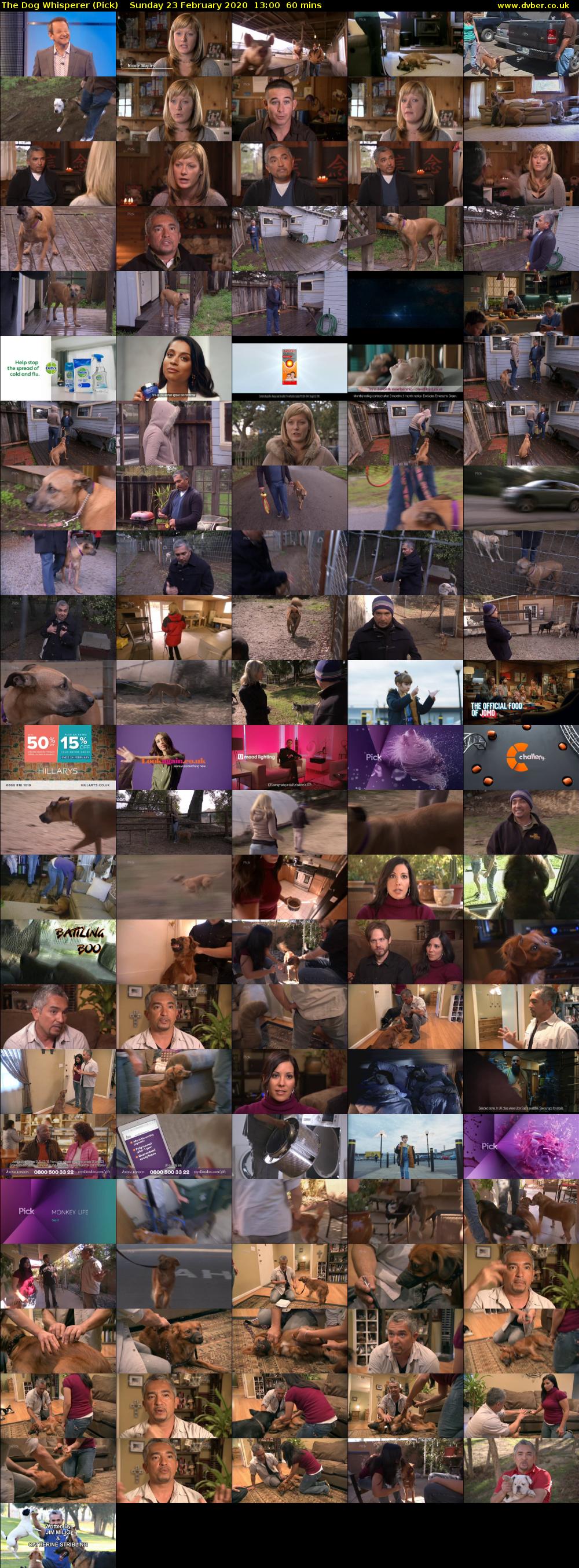 The Dog Whisperer (Pick) Sunday 23 February 2020 13:00 - 14:00