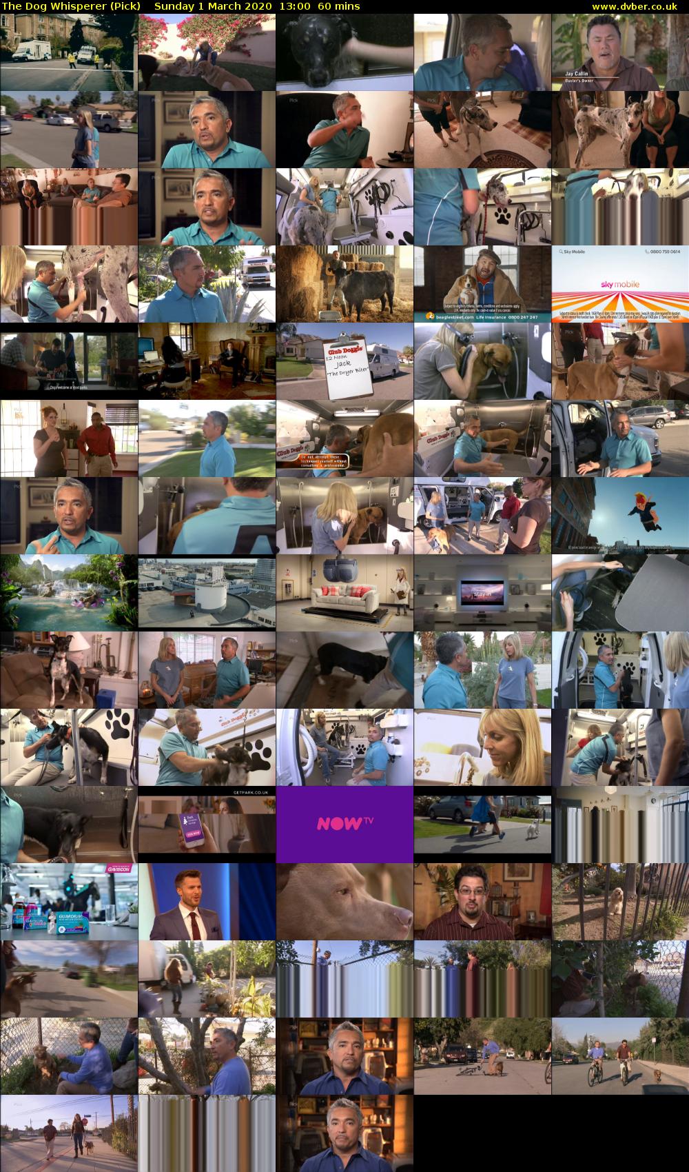 The Dog Whisperer (Pick) Sunday 1 March 2020 13:00 - 14:00
