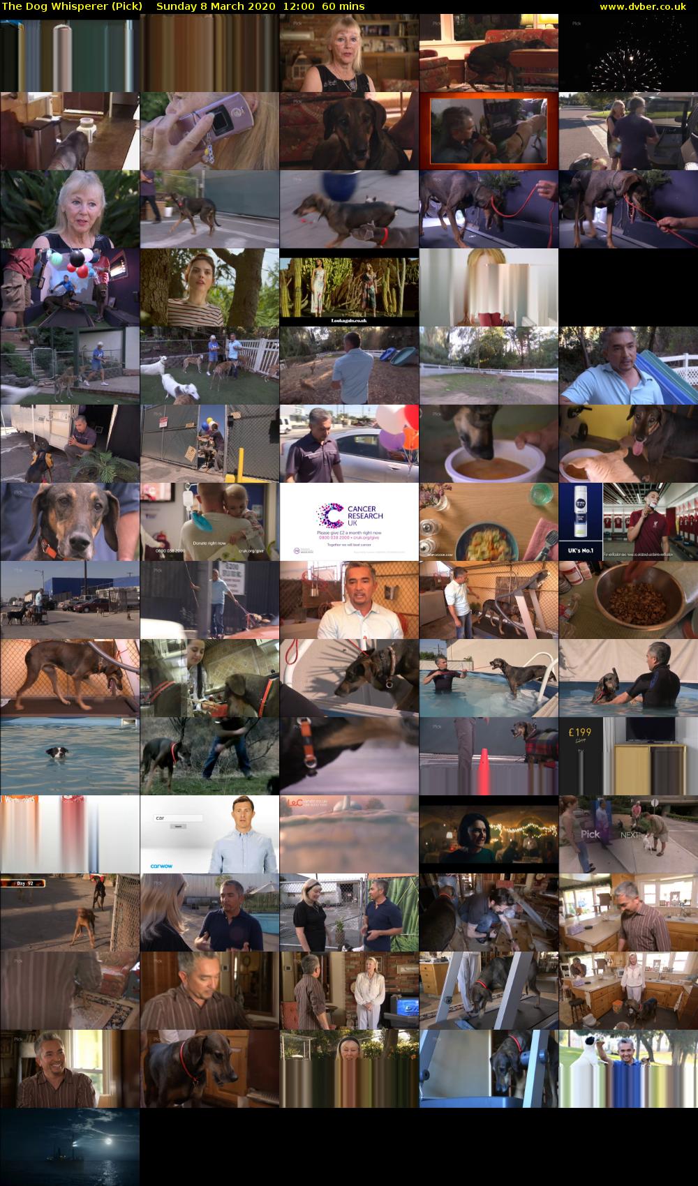 The Dog Whisperer (Pick) Sunday 8 March 2020 12:00 - 13:00