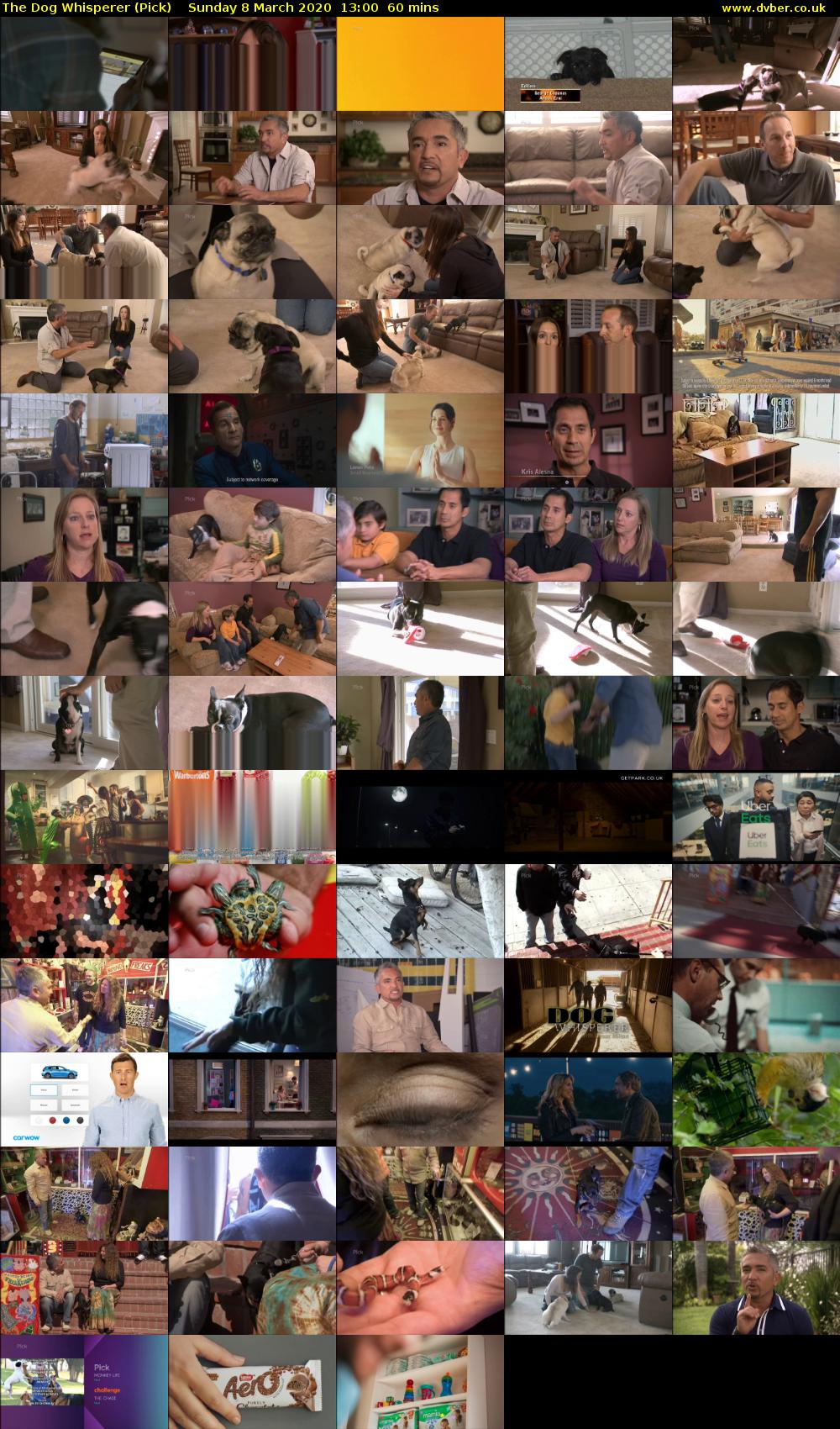 The Dog Whisperer (Pick) Sunday 8 March 2020 13:00 - 14:00