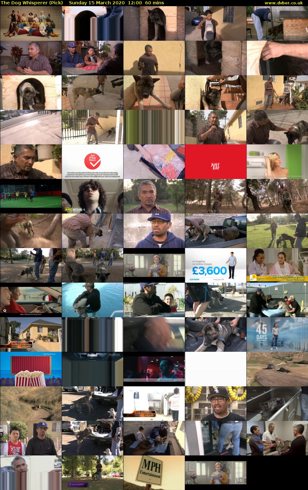 The Dog Whisperer (Pick) Sunday 15 March 2020 12:00 - 13:00