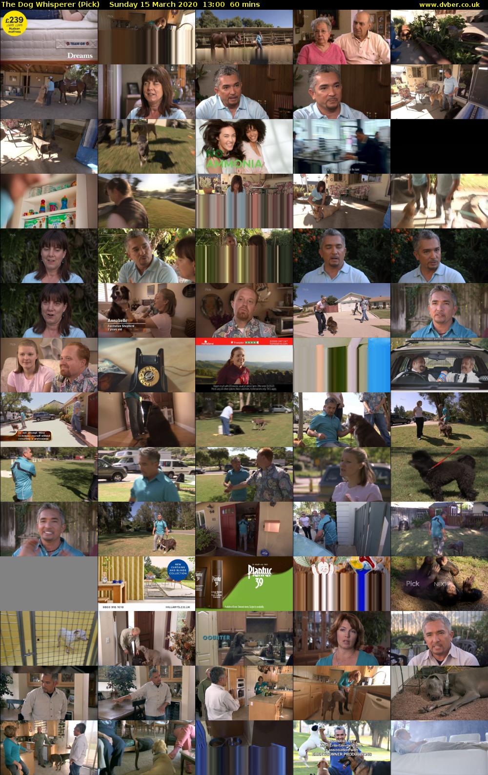 The Dog Whisperer (Pick) Sunday 15 March 2020 13:00 - 14:00