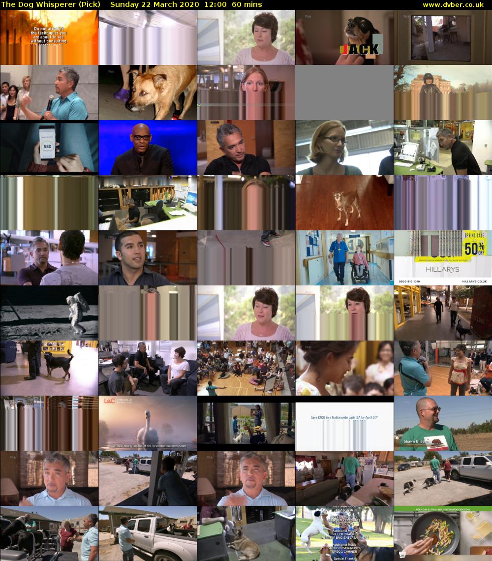 The Dog Whisperer (Pick) Sunday 22 March 2020 12:00 - 13:00