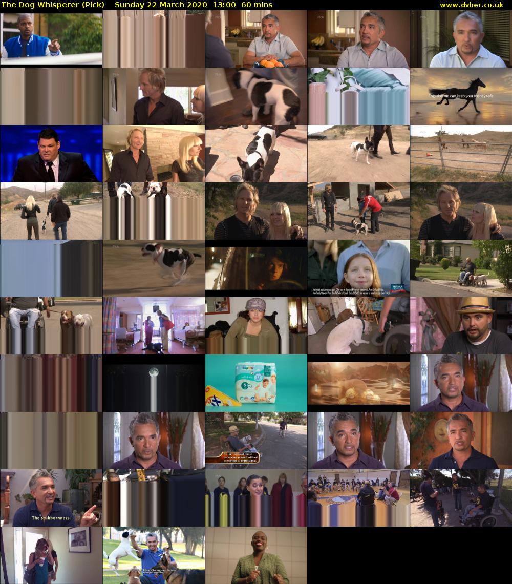 The Dog Whisperer (Pick) Sunday 22 March 2020 13:00 - 14:00