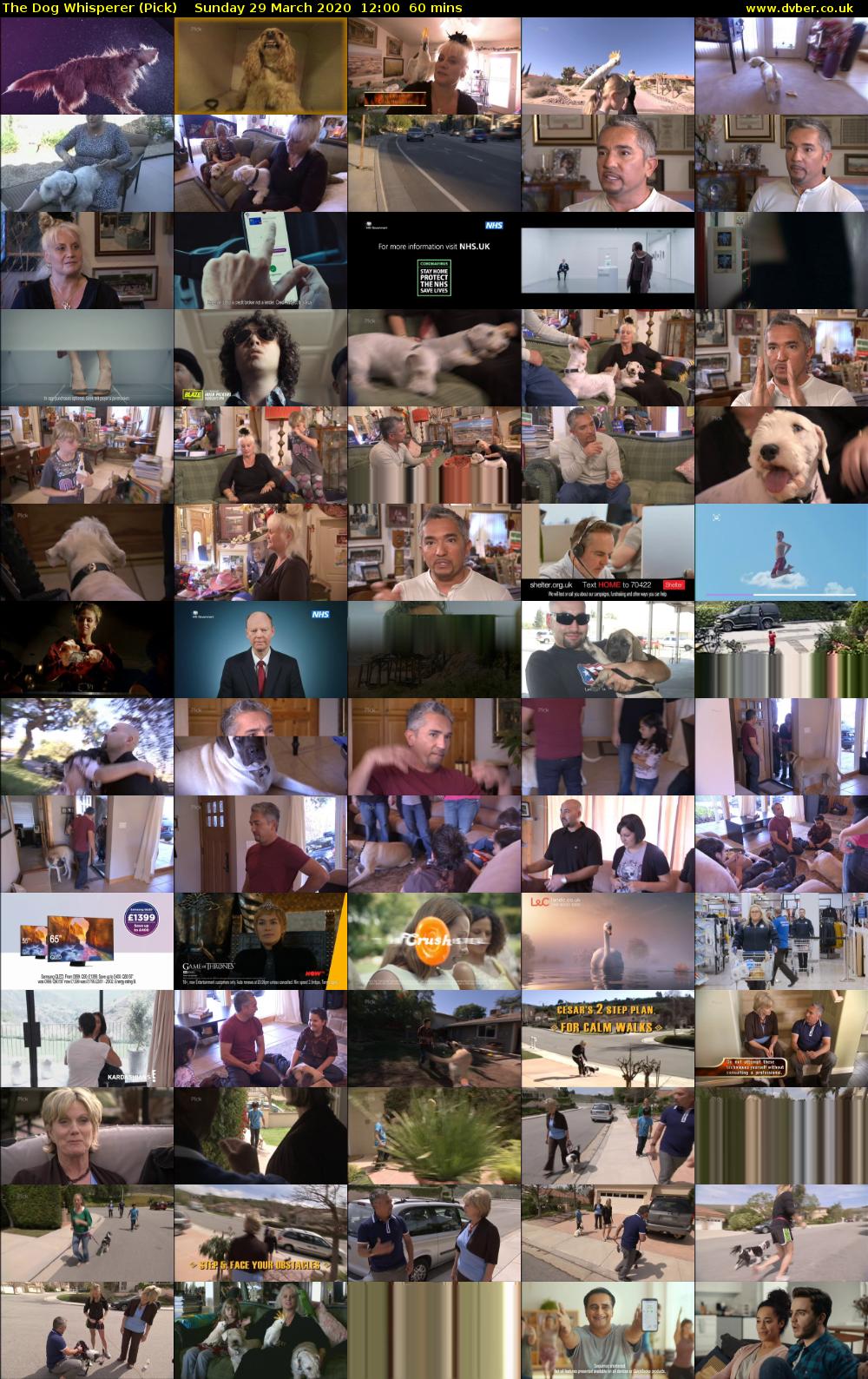The Dog Whisperer (Pick) Sunday 29 March 2020 12:00 - 13:00
