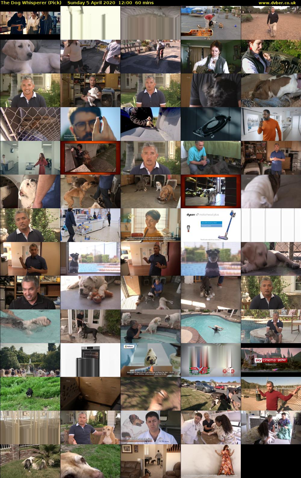 The Dog Whisperer (Pick) Sunday 5 April 2020 12:00 - 13:00