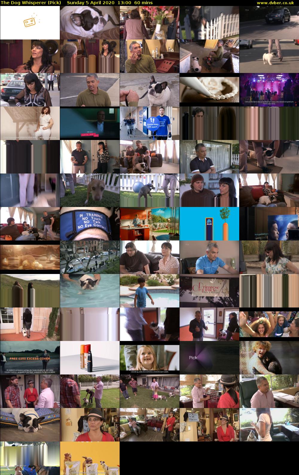 The Dog Whisperer (Pick) Sunday 5 April 2020 13:00 - 14:00