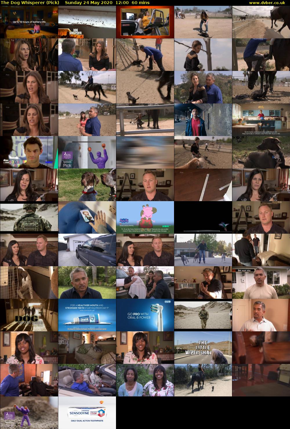The Dog Whisperer (Pick) Sunday 24 May 2020 12:00 - 13:00