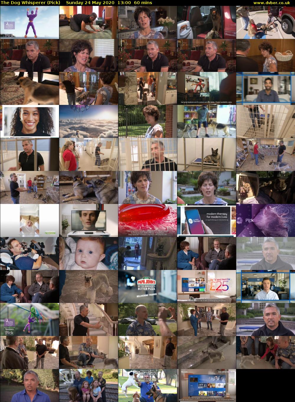 The Dog Whisperer (Pick) Sunday 24 May 2020 13:00 - 14:00