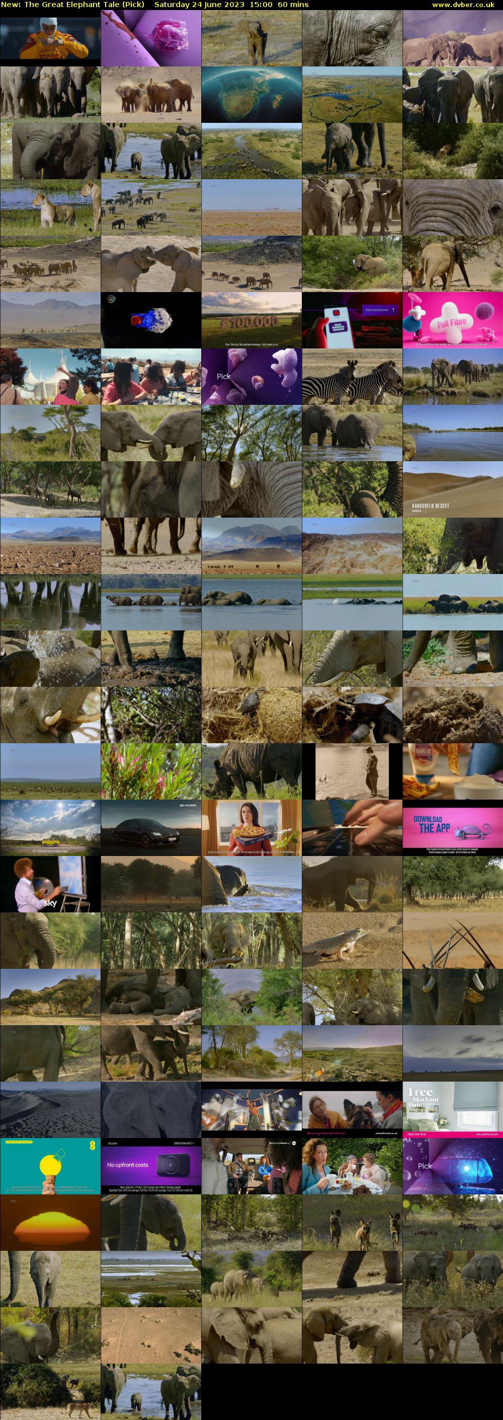 The Great Elephant Tale (Pick) Saturday 24 June 2023 15:00 - 16:00