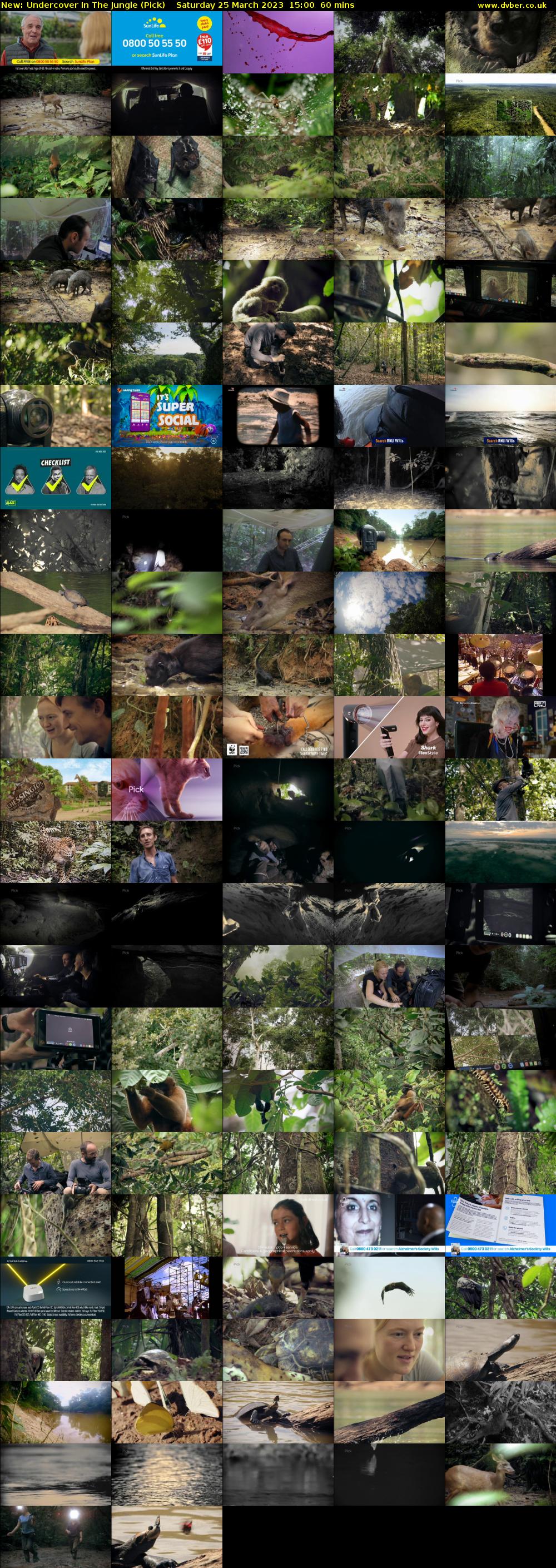 Undercover In The Jungle (Pick) Saturday 25 March 2023 15:00 - 16:00