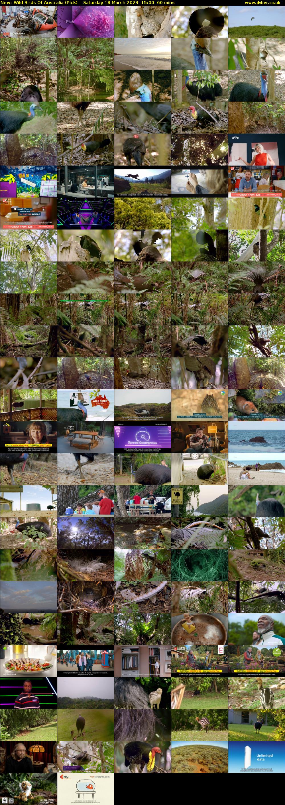 Wild Birds Of Australia (Pick) Saturday 18 March 2023 15:00 - 16:00