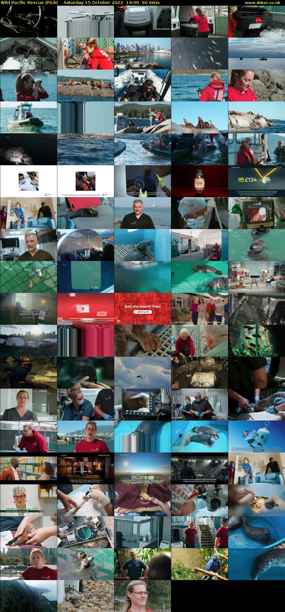 Wild Pacific Rescue (Pick) Saturday 15 October 2022 14:00 - 15:00