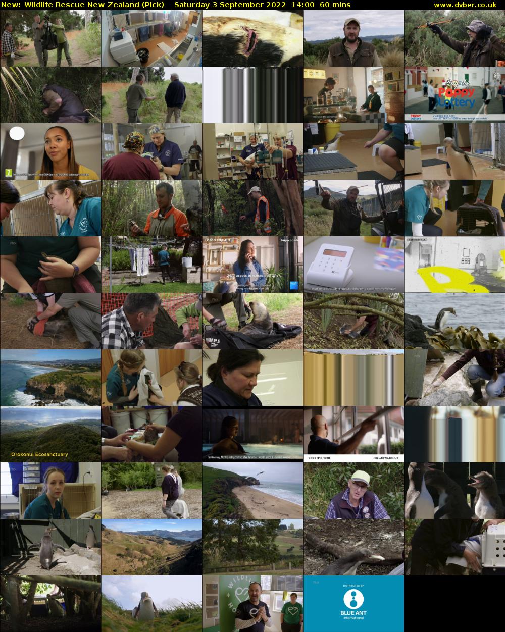 Wildlife Rescue New Zealand (Pick) Saturday 3 September 2022 14:00 - 15:00