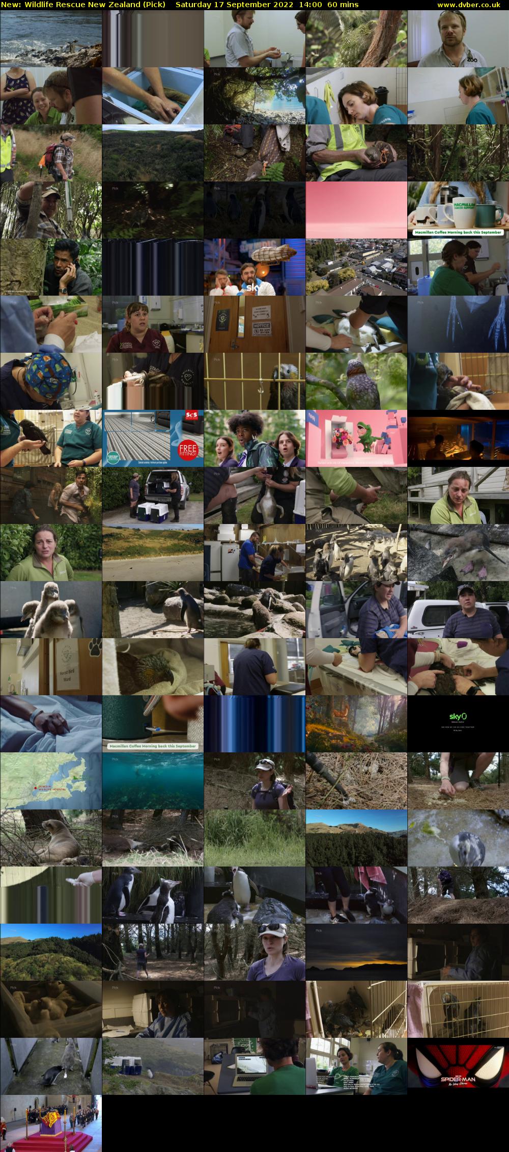 Wildlife Rescue New Zealand (Pick) Saturday 17 September 2022 14:00 - 15:00