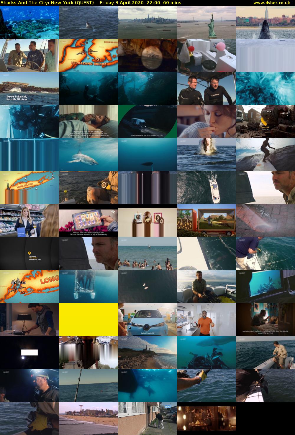 Sharks And The City: New York (QUEST) Friday 3 April 2020 22:00 - 23:00