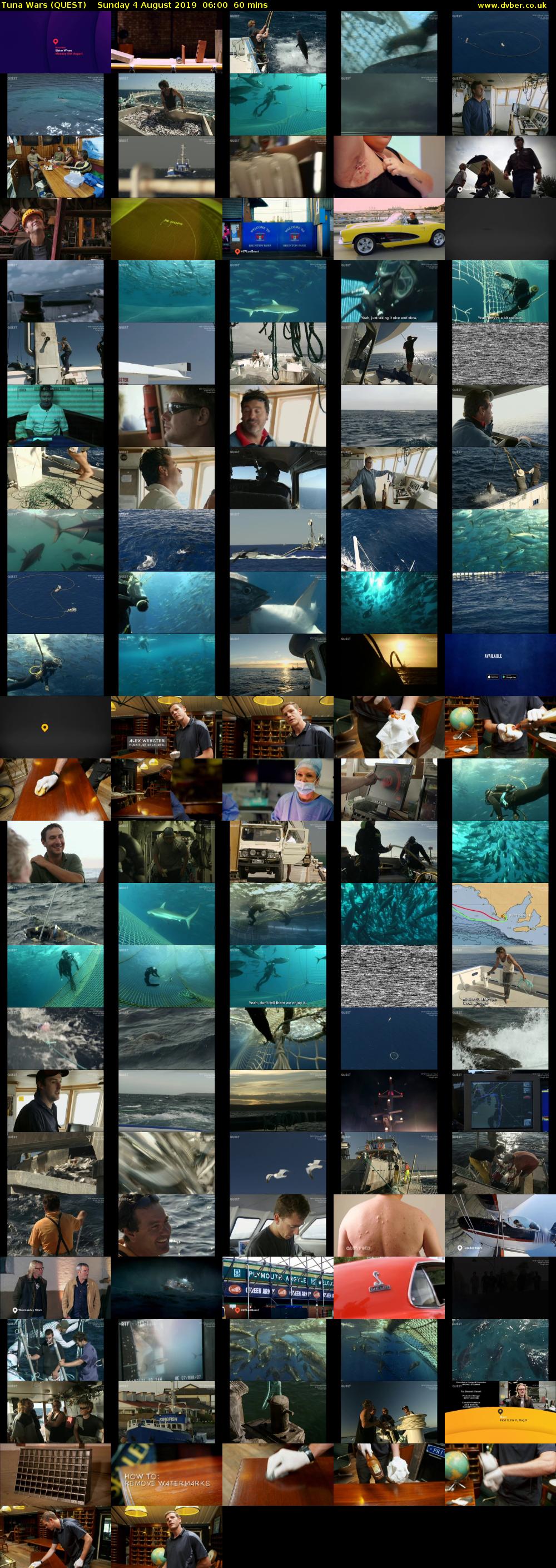 Tuna Wars (QUEST) Sunday 4 August 2019 06:00 - 07:00