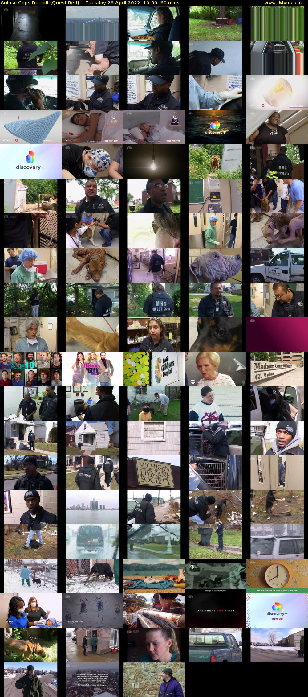 Animal Cops Detroit (Quest Red) Tuesday 26 April 2022 10:00 - 11:00
