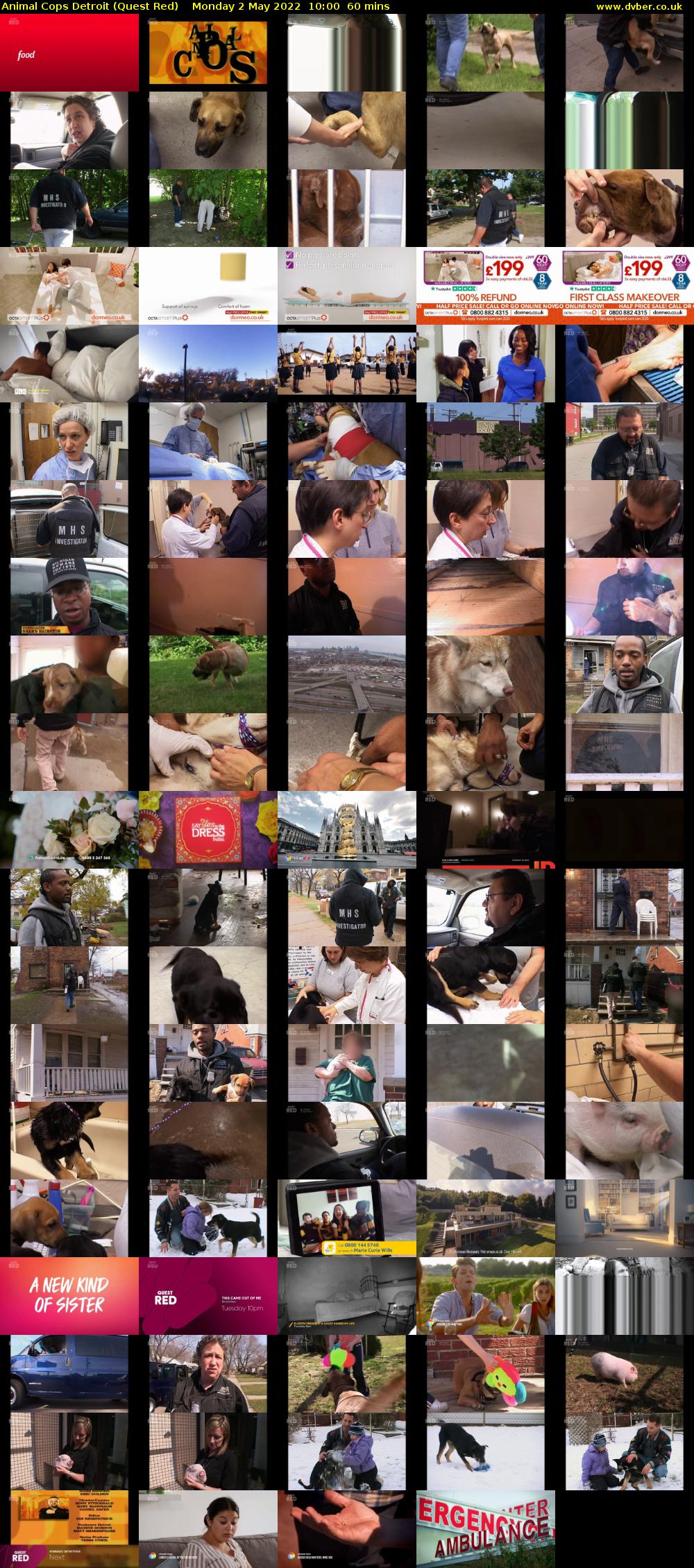 Animal Cops Detroit (Quest Red) Monday 2 May 2022 10:00 - 11:00
