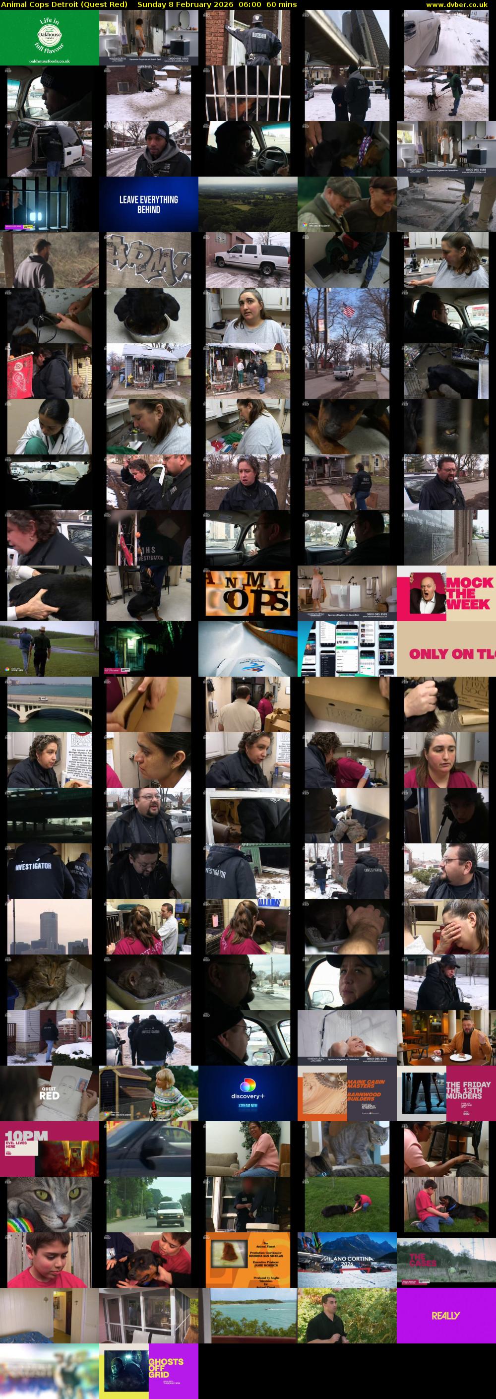 Animal Cops Detroit (Quest Red) Sunday 8 February 2026 06:00 - 07:00