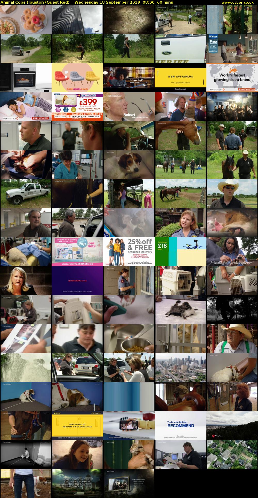 Animal Cops Houston (Quest Red) Wednesday 18 September 2019 08:00 - 09:00