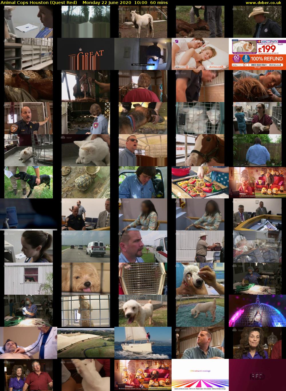 Animal Cops Houston (Quest Red) Monday 22 June 2020 10:00 - 11:00