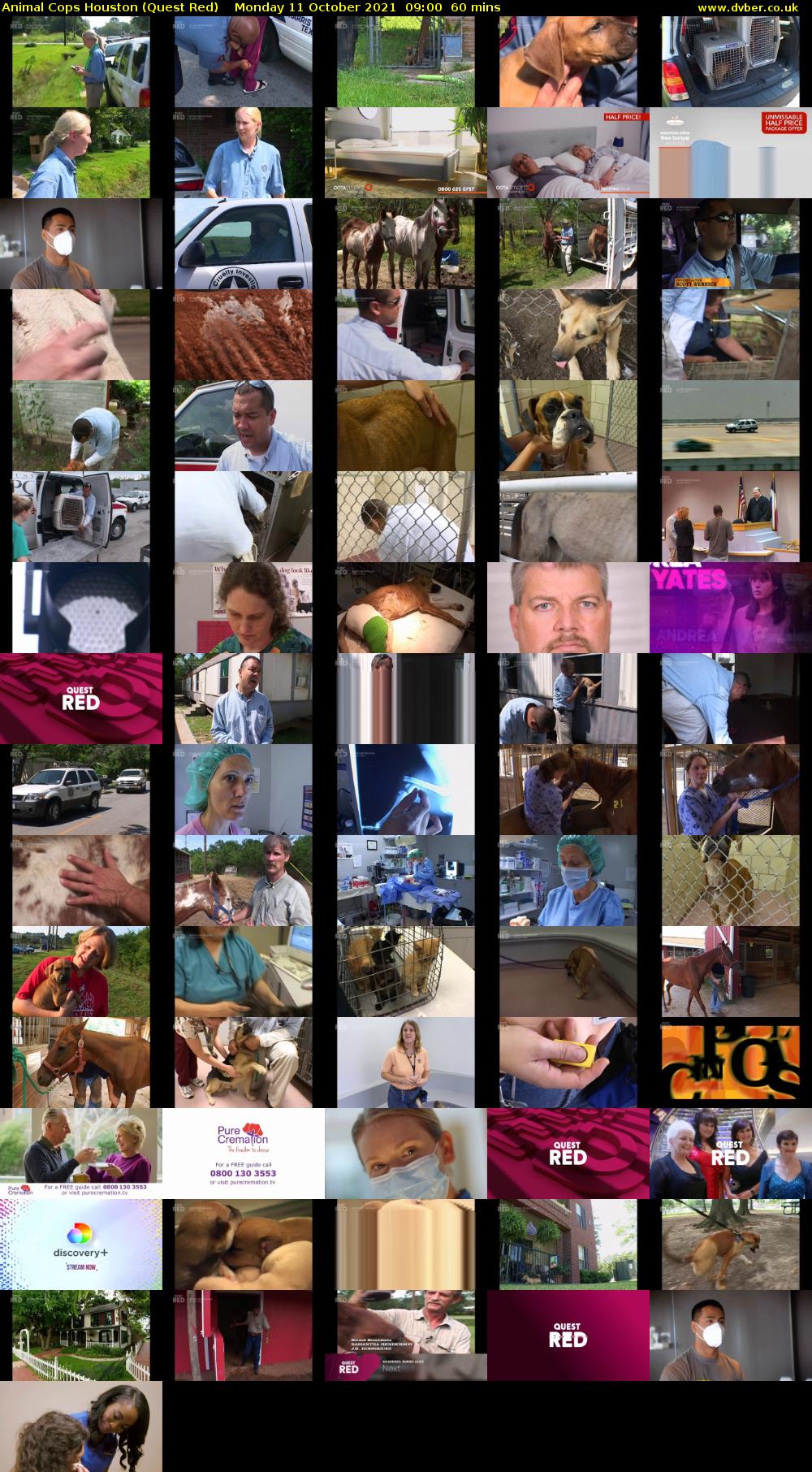 Animal Cops Houston (Quest Red) Monday 11 October 2021 09:00 - 10:00