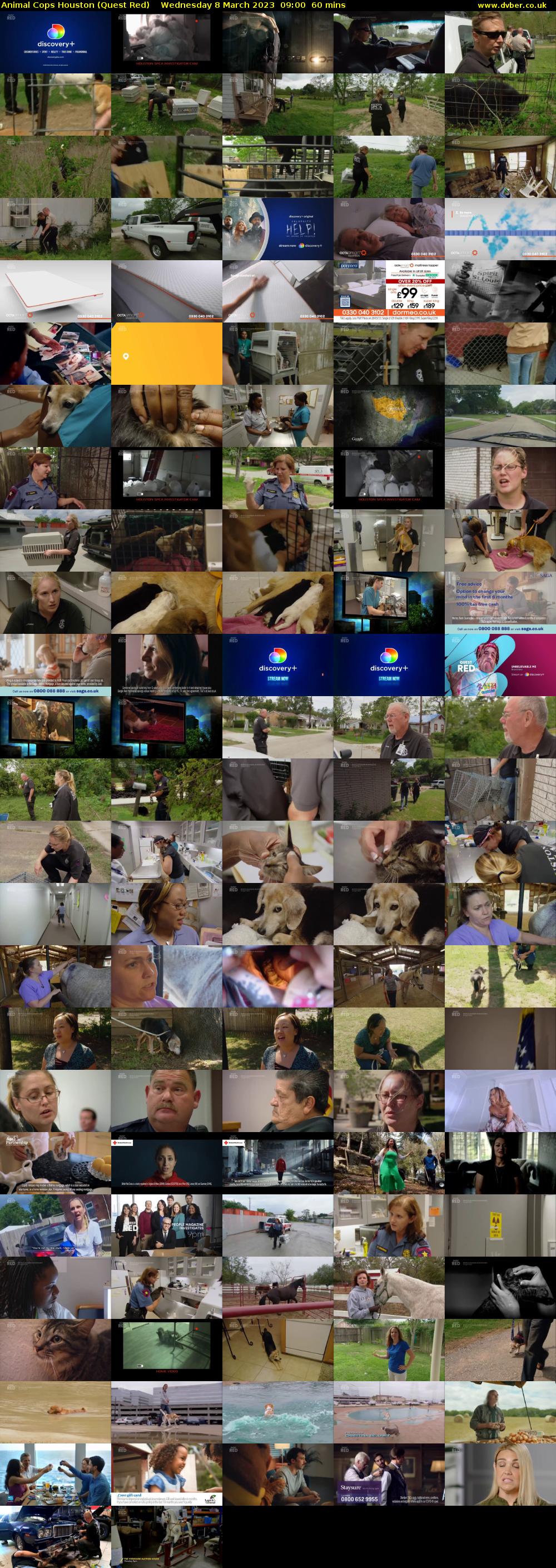 Animal Cops Houston (Quest Red) Wednesday 8 March 2023 09:00 - 10:00