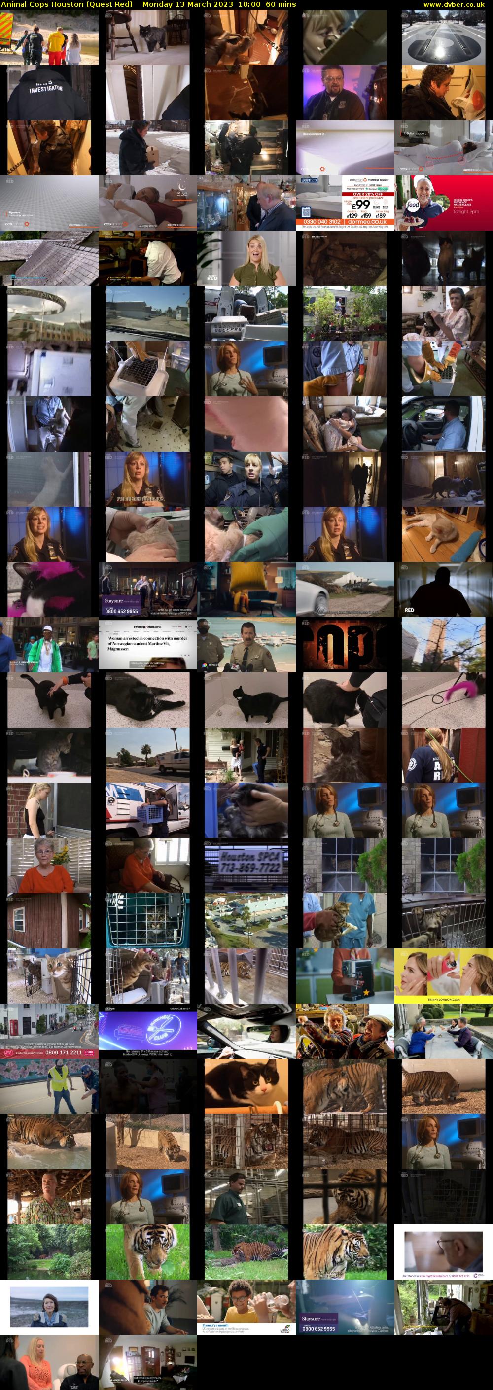 Animal Cops Houston (Quest Red) Monday 13 March 2023 10:00 - 11:00