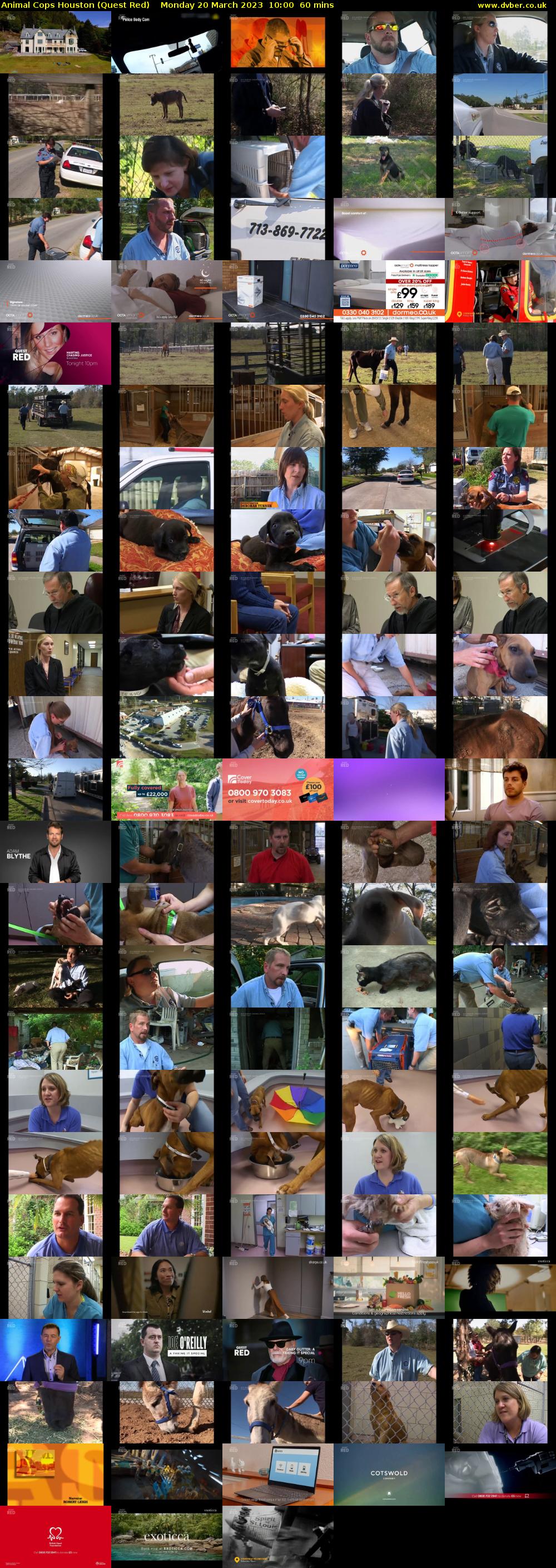 Animal Cops Houston (Quest Red) Monday 20 March 2023 10:00 - 11:00