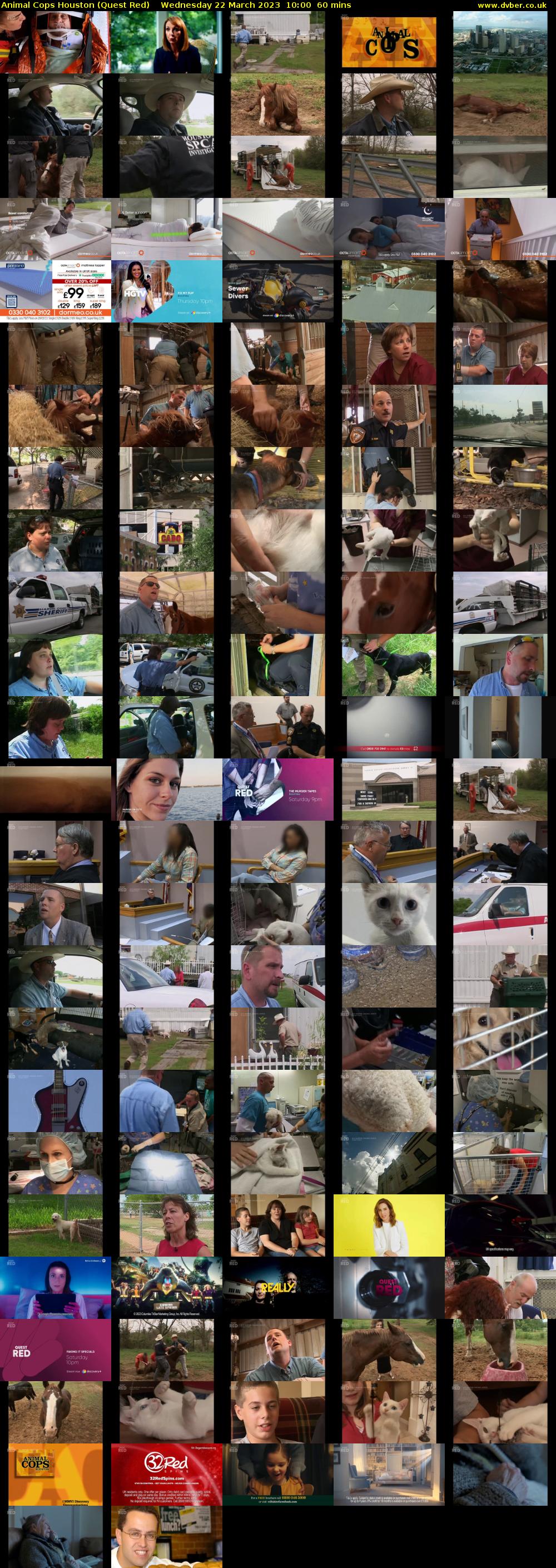 Animal Cops Houston (Quest Red) Wednesday 22 March 2023 10:00 - 11:00