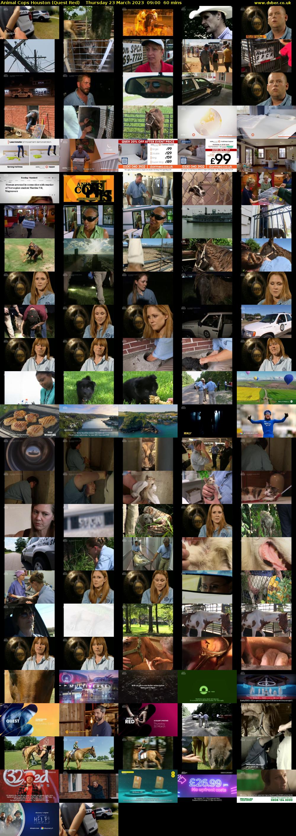 Animal Cops Houston (Quest Red) Thursday 23 March 2023 09:00 - 10:00
