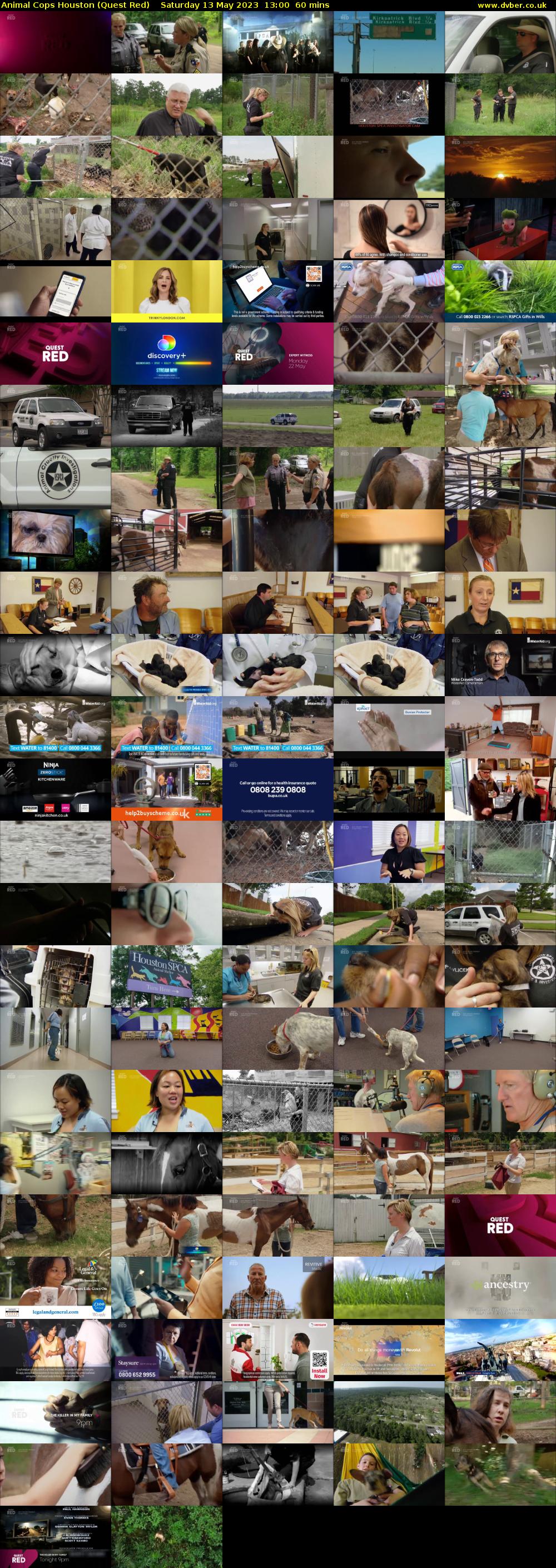 Animal Cops Houston (Quest Red) Saturday 13 May 2023 13:00 - 14:00