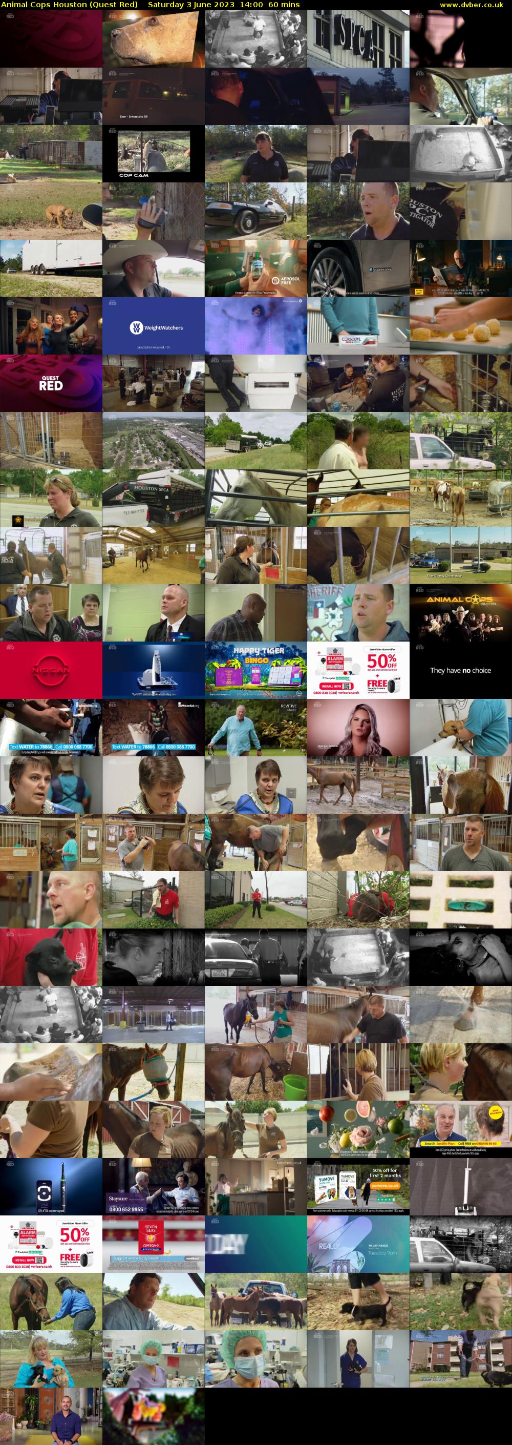 Animal Cops Houston (Quest Red) Saturday 3 June 2023 14:00 - 15:00
