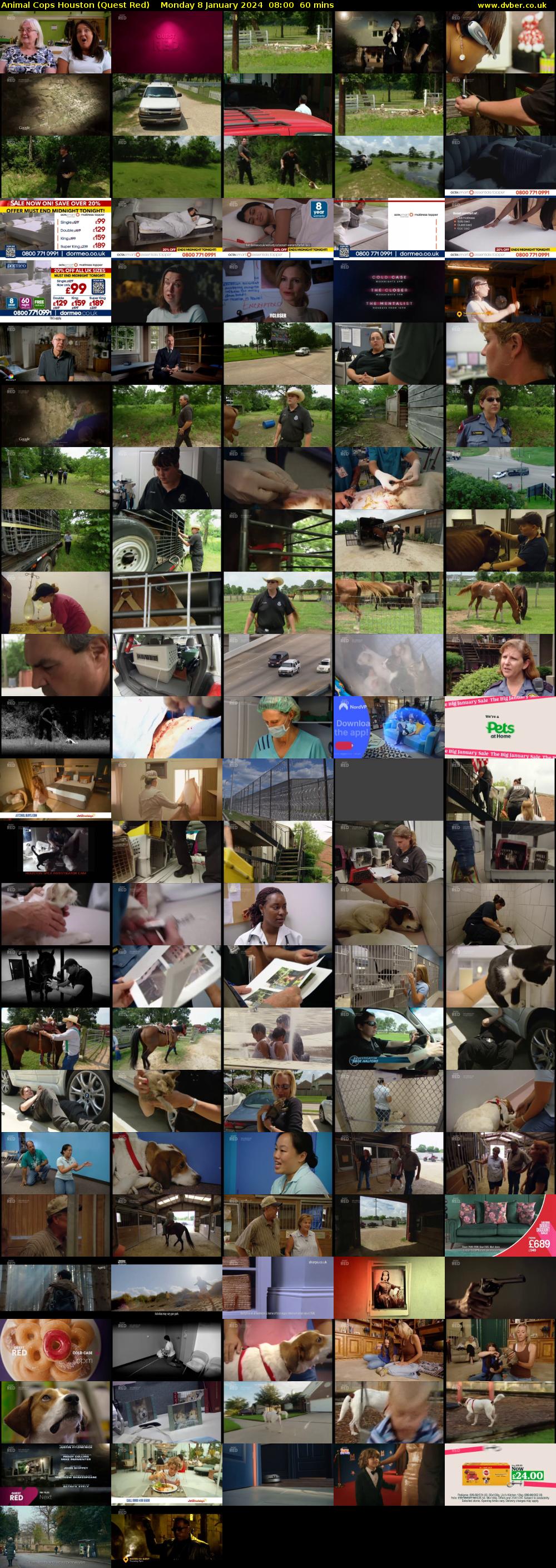 Animal Cops Houston (Quest Red) Monday 8 January 2024 08:00 - 09:00