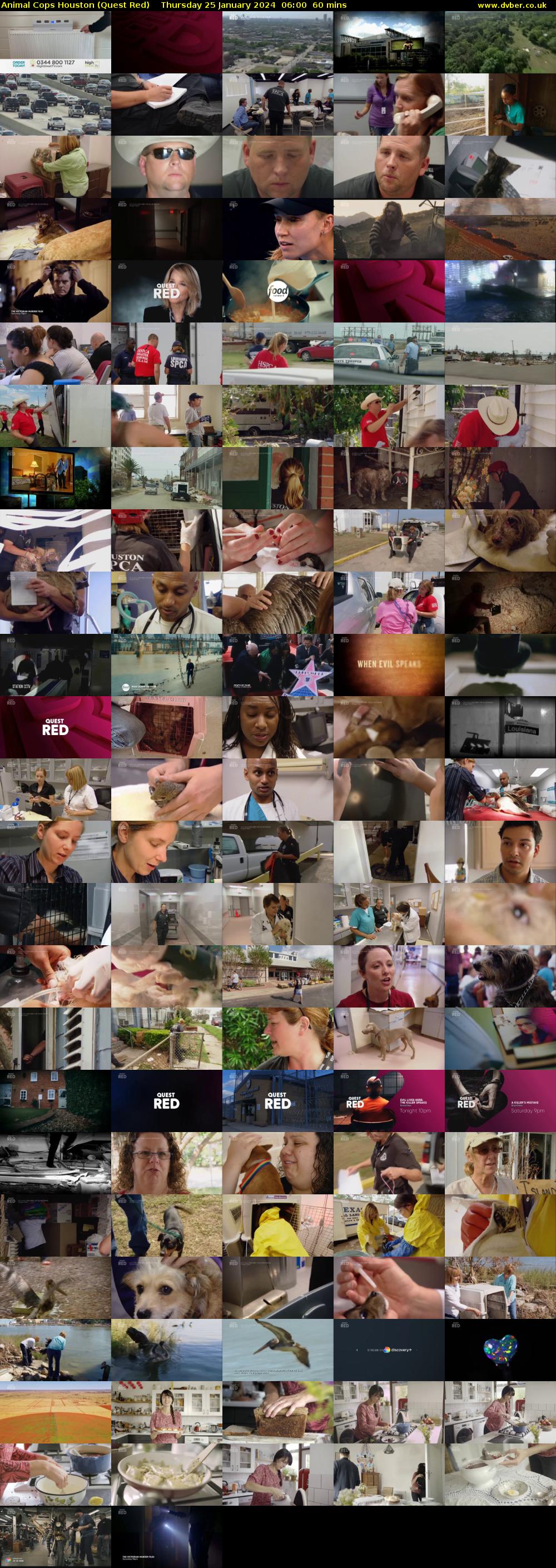 Animal Cops Houston (Quest Red) Thursday 25 January 2024 06:00 - 07:00