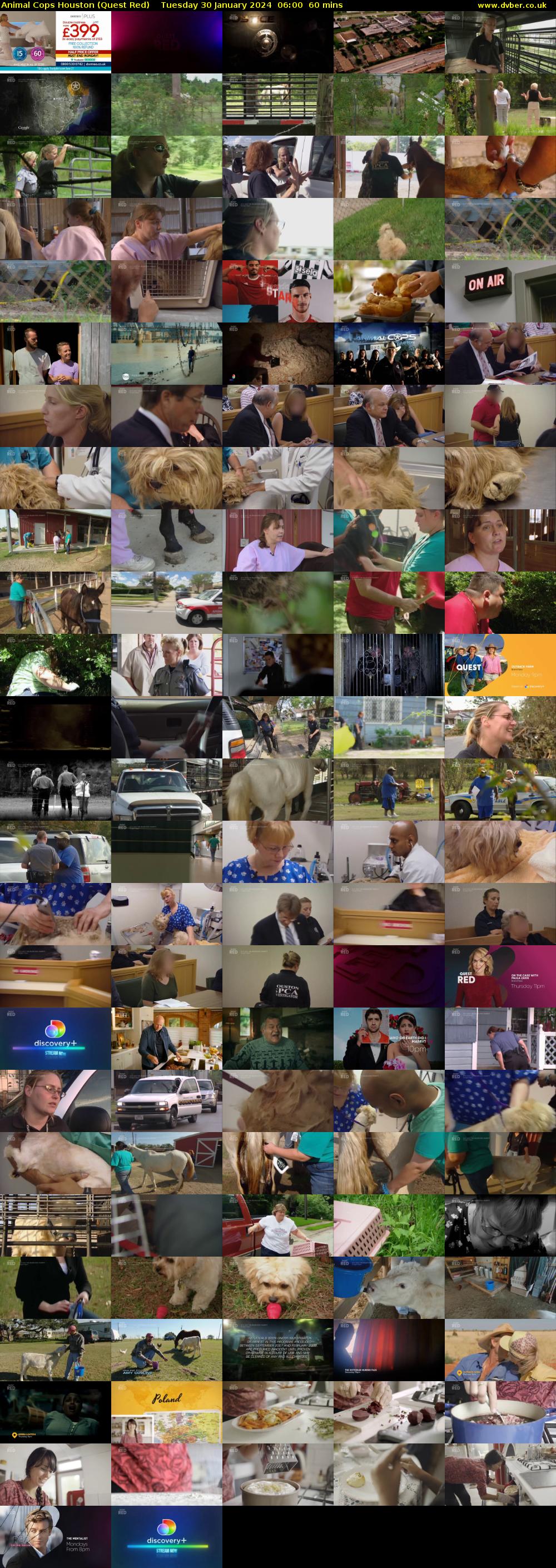 Animal Cops Houston (Quest Red) Tuesday 30 January 2024 06:00 - 07:00