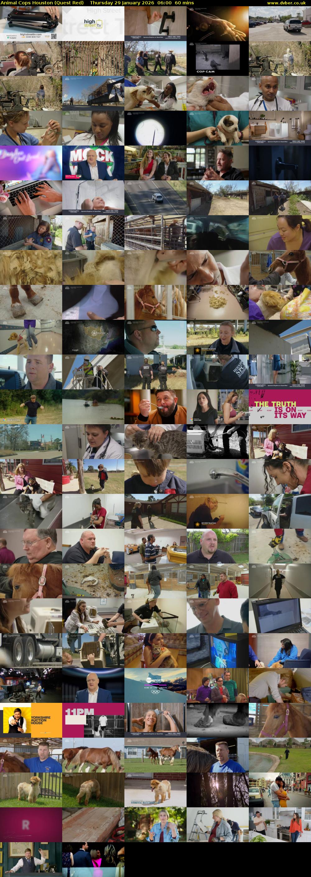 Animal Cops Houston (Quest Red) Thursday 29 January 2026 06:00 - 07:00