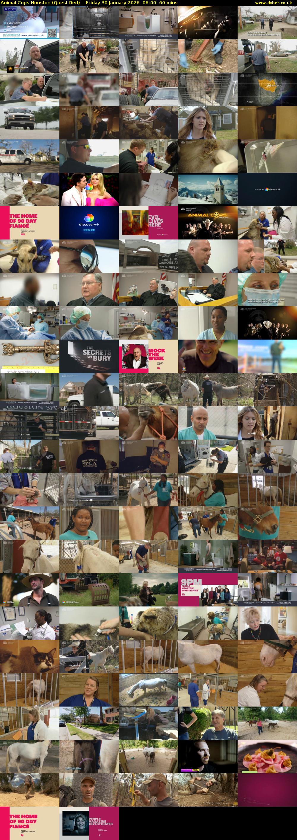 Animal Cops Houston (Quest Red) Friday 30 January 2026 06:00 - 07:00