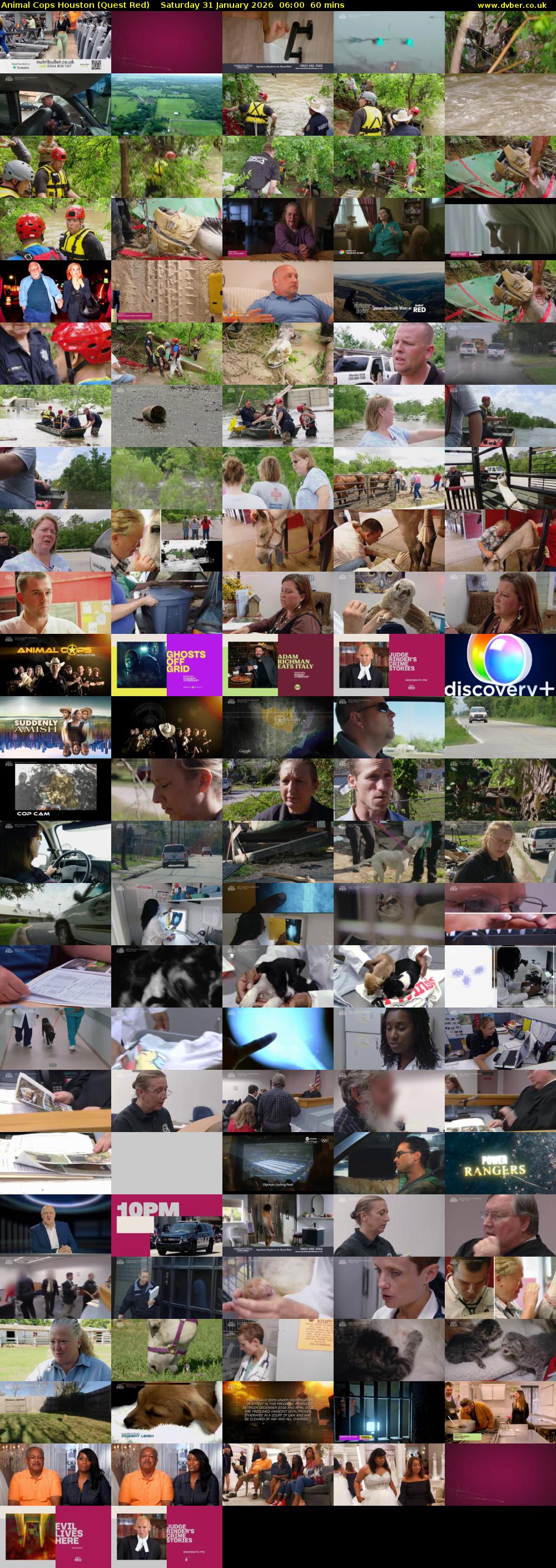 Animal Cops Houston (Quest Red) Saturday 31 January 2026 06:00 - 07:00