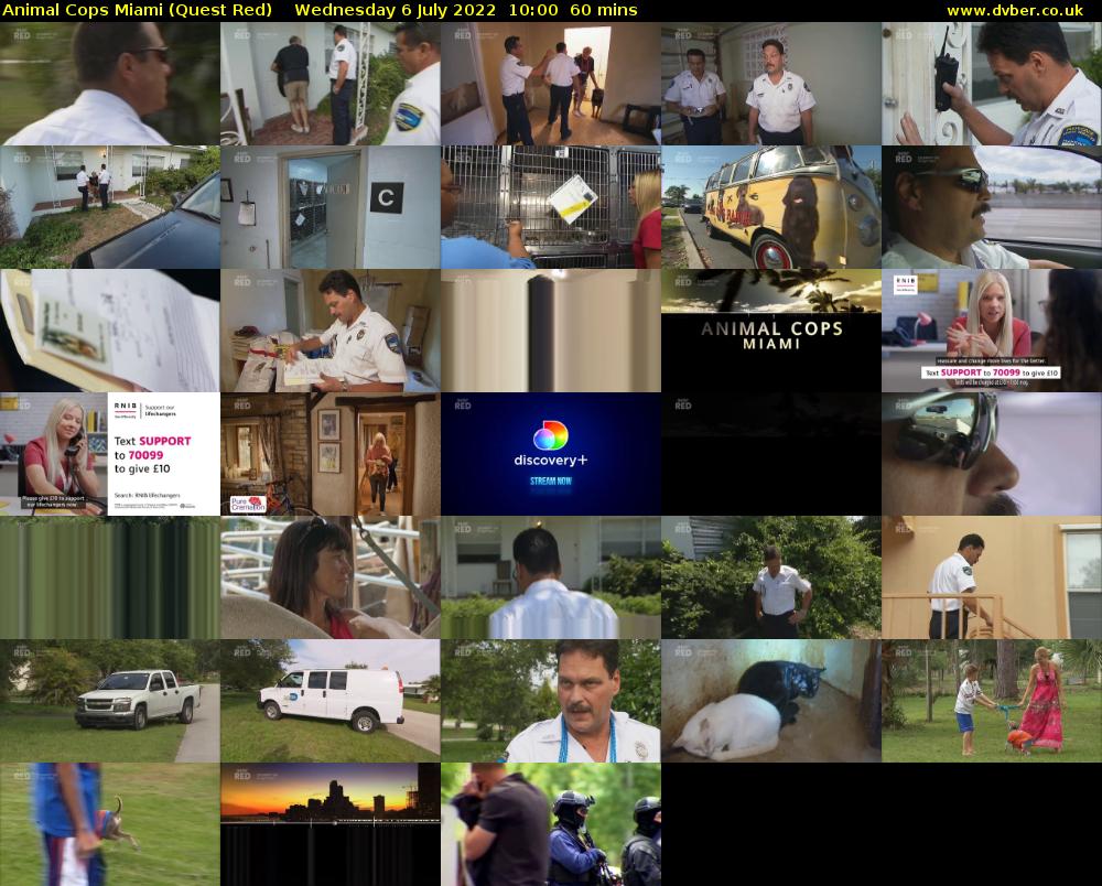 Animal Cops Miami (Quest Red) Wednesday 6 July 2022 10:00 - 11:00