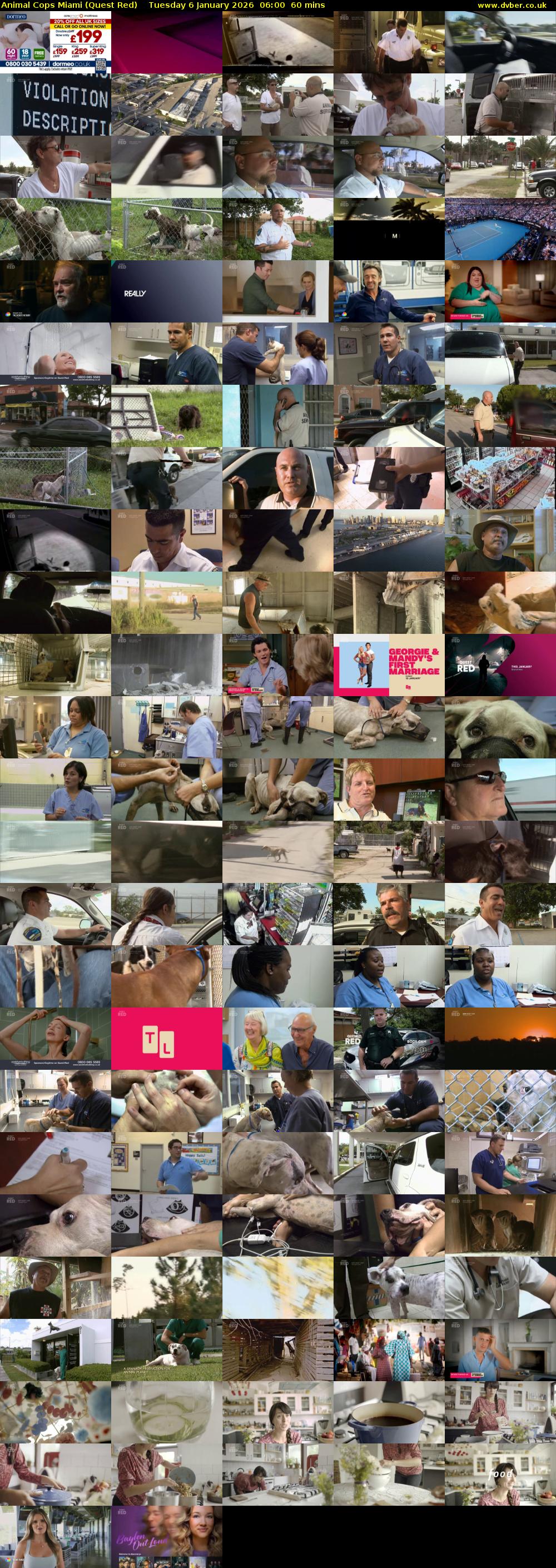 Animal Cops Miami (Quest Red) Tuesday 6 January 2026 06:00 - 07:00