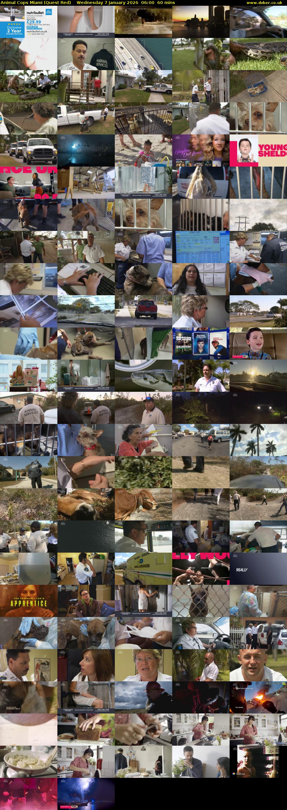 Animal Cops Miami (Quest Red) Wednesday 7 January 2026 06:00 - 07:00