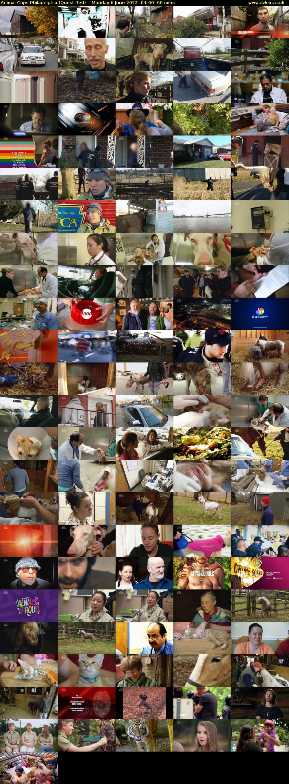 Animal Cops Philadelphia (Quest Red) Monday 6 June 2022 04:00 - 05:00