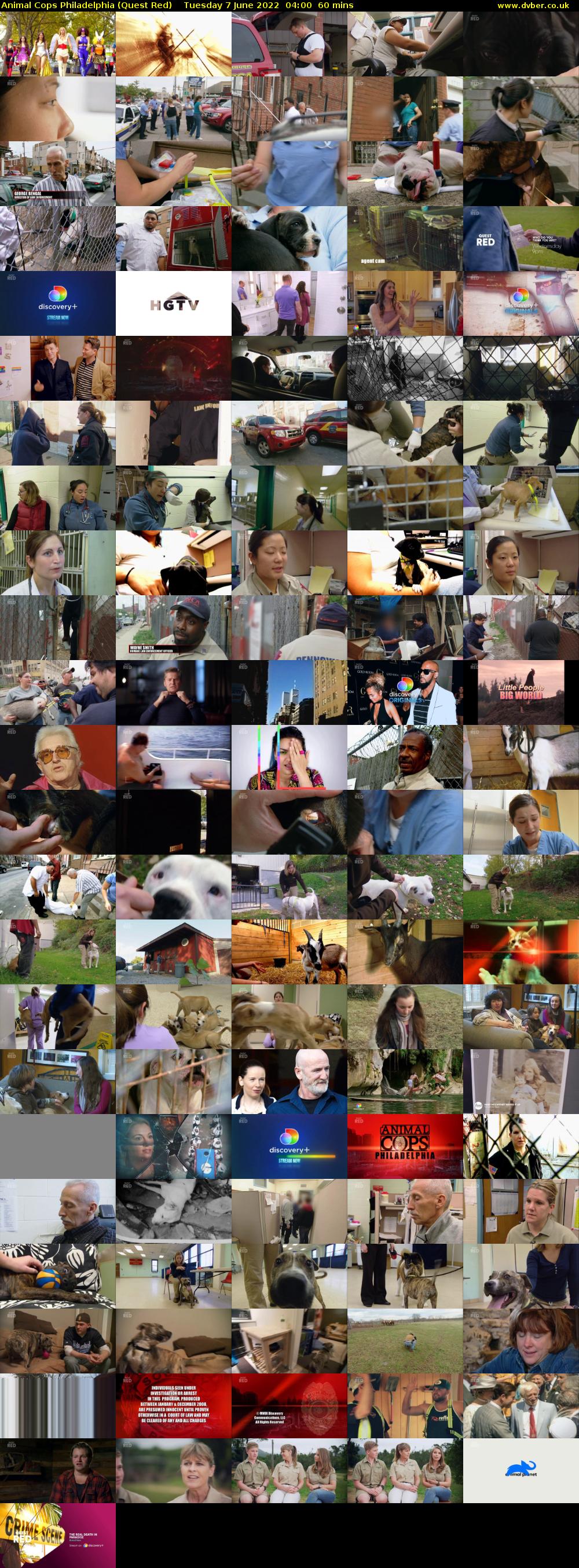 Animal Cops Philadelphia (Quest Red) Tuesday 7 June 2022 04:00 - 05:00